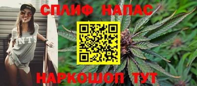 прущие грибы Краснокаменск