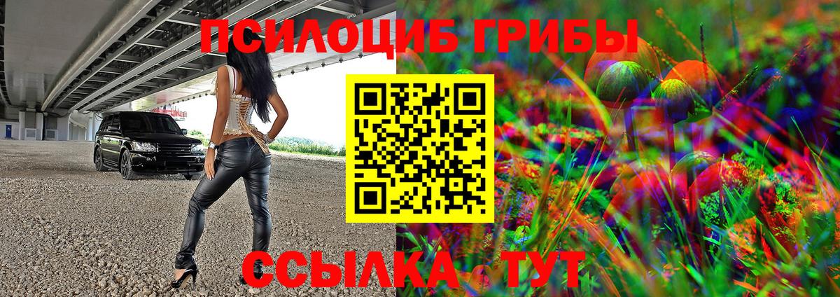 Котовск  Галлюциногенные грибы мицелий  Вход с VPN 
